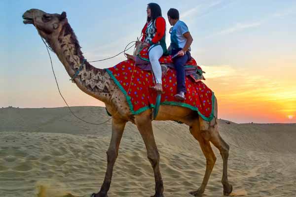 Camel Safari Jaisalmer