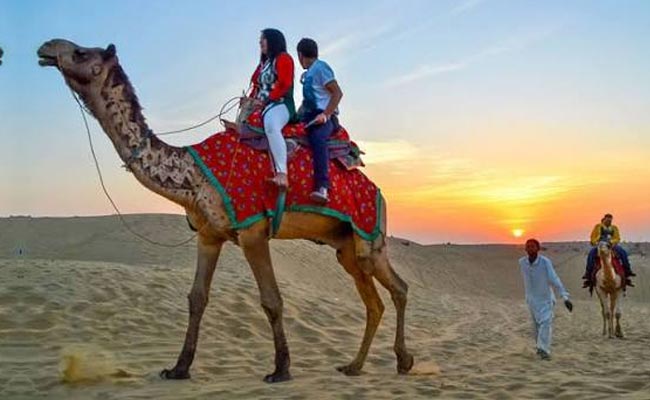Camel Safari Ride